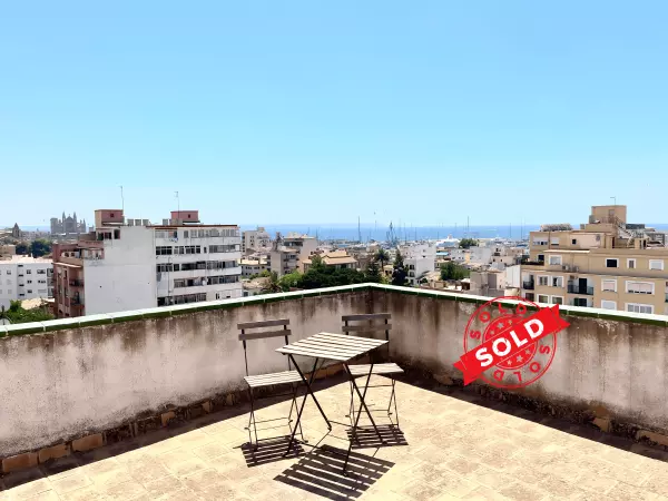 Apartment Opportunity in Santa Catalina