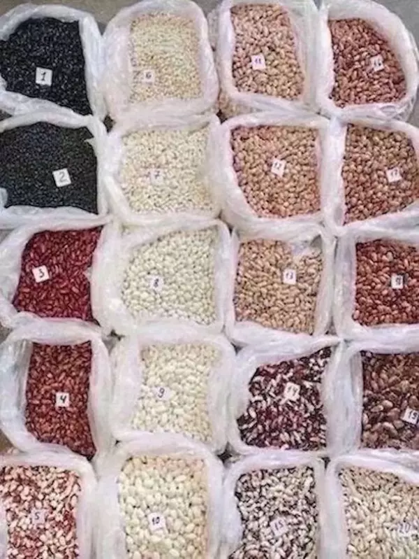Frijoles de la empresa ucraniana Beans Nature Product