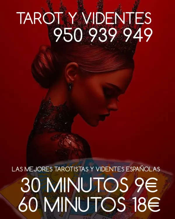 VIDENTES ECONÓMICOS