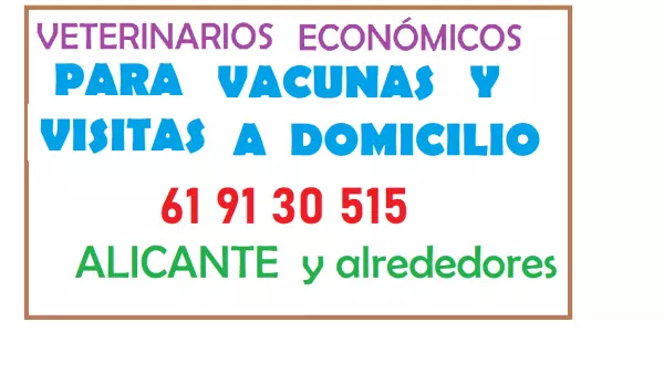 Vacunacion de perros a domicilio