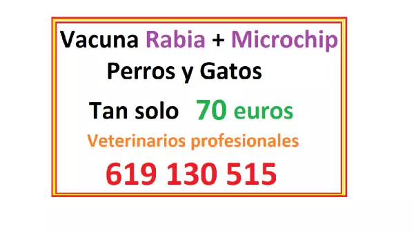 OFERTA en CHIP + RABIA + PASAPORTE