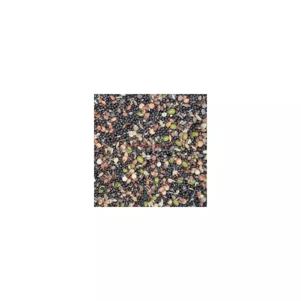 MIXTURA GERMINAR BOLSA 1 KG