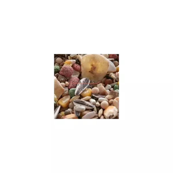 MIXTURA LOROS PROFES. FRUTAS BOLSA 800GR