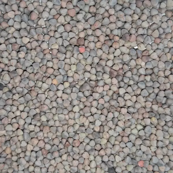 Saco de Yeros Rojos 25kg | Alta Calidad para Aves