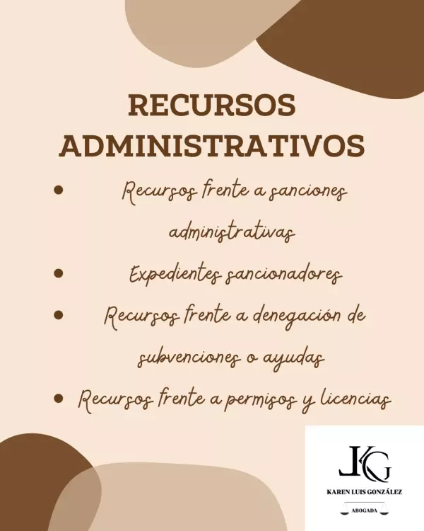 RECURSOS ADMINISTRATIVOS