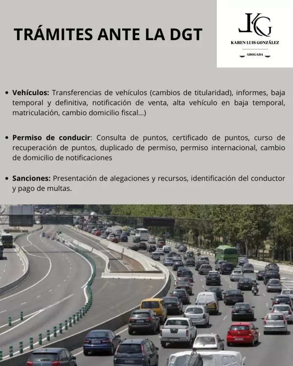 TRÁMITES ANTE LA DGT