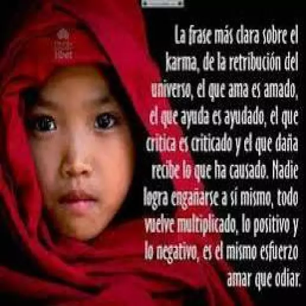 Volver a brillar en la vida.Tarot 40 Quilates.