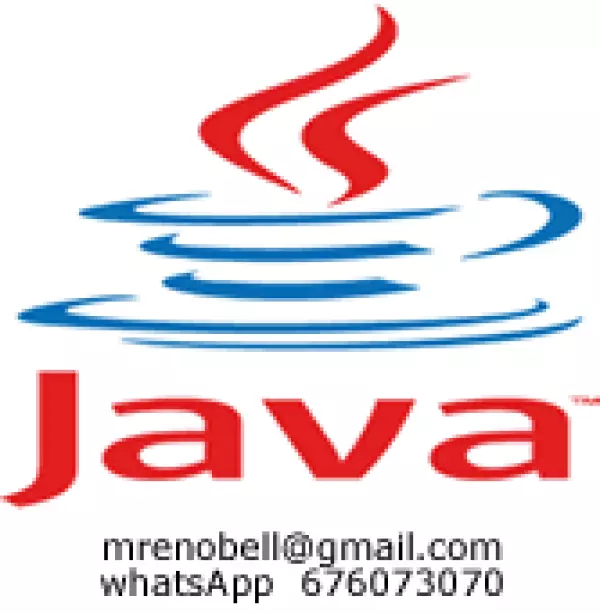 APLICACIONES JAVA PARA SU NEGOCIO