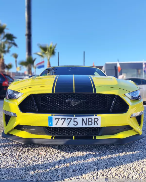 FORD MUSTANG