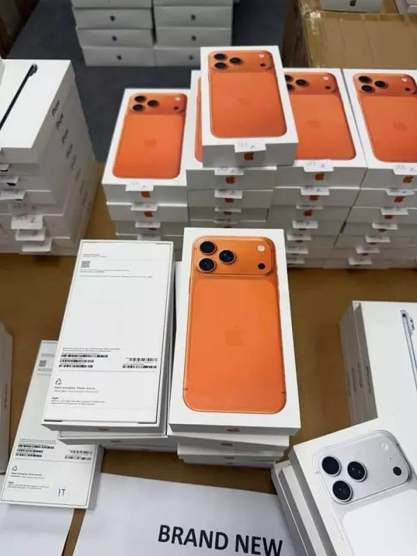 www.wholesaletechz.com Novedades, iPhone, PS5, Samsung, Xbox