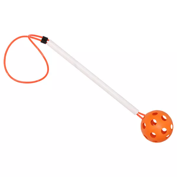 PELOTA CON MANGO
