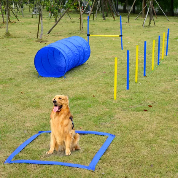 Set Entrenamiento Agility Agilidad Perros