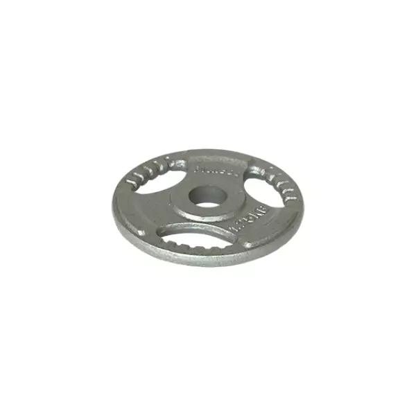 DISCO HIERRO CON AGARRE - GRIS, 2.5 KG DE 30MM