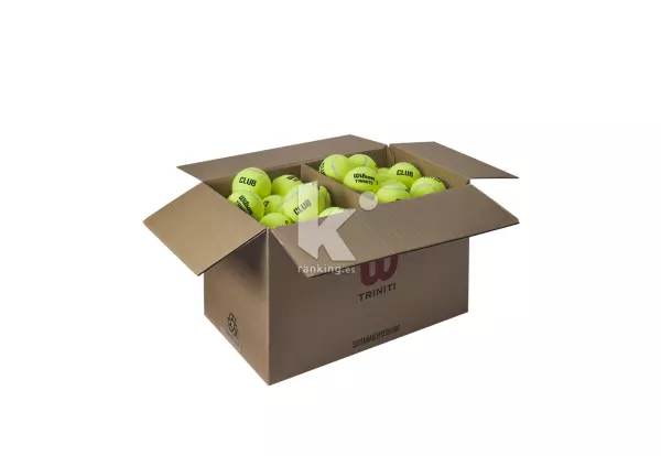 PELOTA TENIS WILSON TRINITI CLUB, CAJA DE 72 PELOTAS