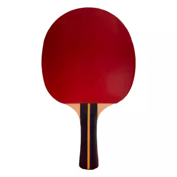Raqueta tenis de mesa softee p200 PING PONG