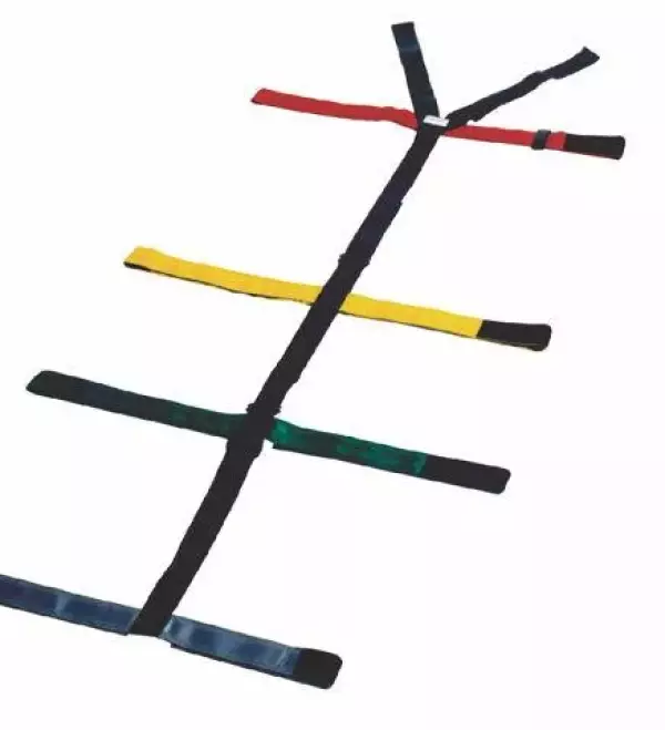 CONJUNTO ARNÉS TIPO ARAÑA PARA TABLERO ESPINAL