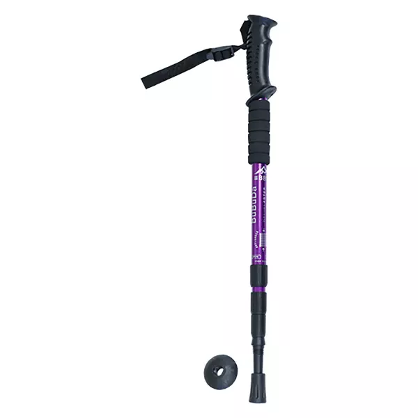 BASTON DE TREKKING BBD 1.0 -UNIDAD- - MORADO,