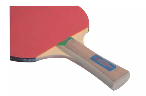 Pala Ping-Pong Iniciacion 2**. goma lisa 1.5 mm