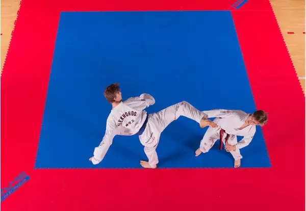 TATAMI TAEKWONDO OFICIAL 100 X 100 X 2,2 CM