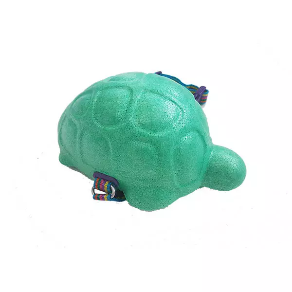 BURBUJITA FAUNA