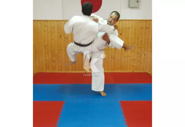 TATAMI PUZZLE 100 X 100 CM. GROSOR 30 MM. AZUL - (CA07)