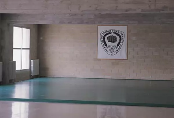 Superficie tatami artes marciales