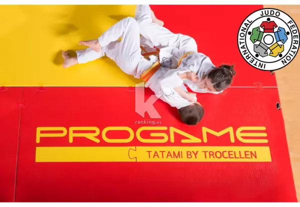 TATAMI OFICIAL EDUCACION TIS JUDO 200 X 100 X 4 CM