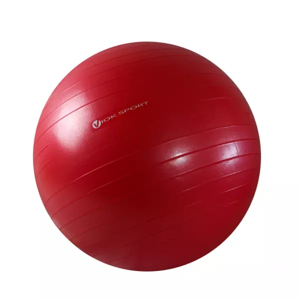 Fitball 65/75cm ref 059