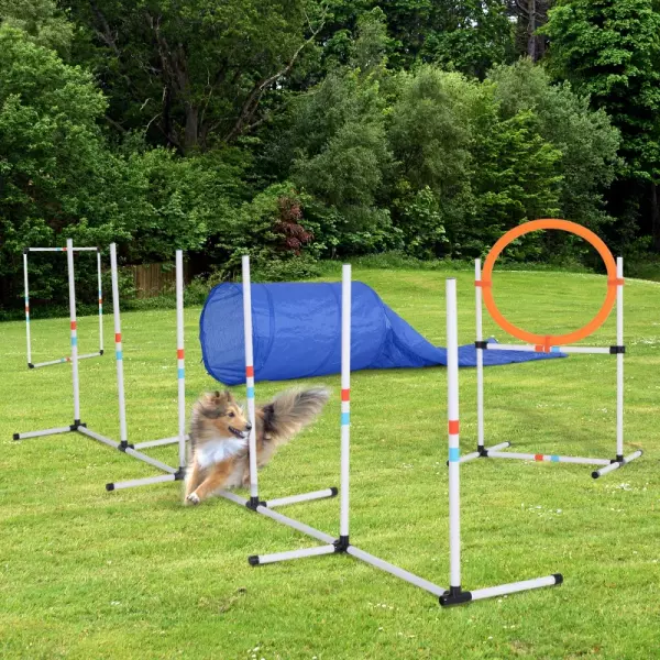 Set de Entrenamiento de Agilidad para Perros con Ø60x300 cm Túnel Juego de Salto Obstáculos y Bolsa de Transporte Incluida Blanco y Azul