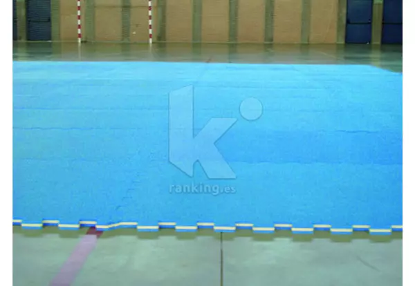 TATAMI TIPO PUZZLE POLIVALENTE 150 X100 X 3 CMS. D-50