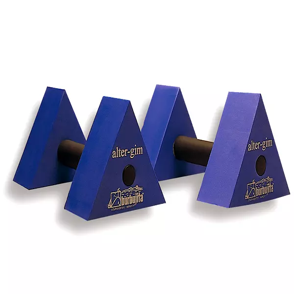 ALTER-GYM TRIANGULAR