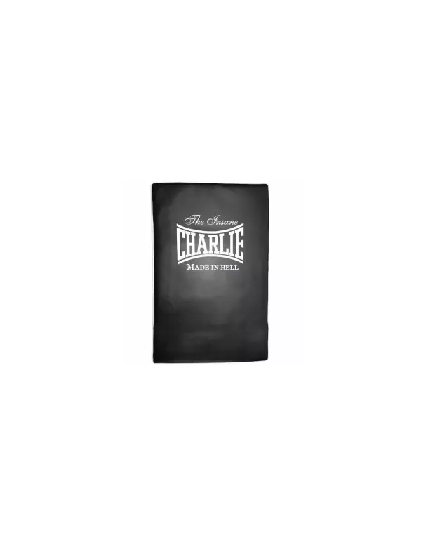 ESCUDO PLANO boxeo 56X36X10
