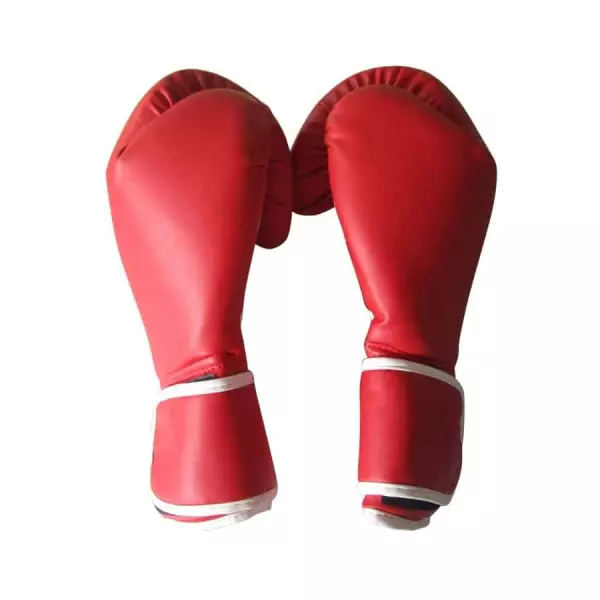 Guantes de Boxeo PRO 12 ONZAS