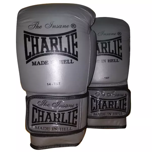 Guantes de Boxeo Entrenamiento CHARLIE Grafito