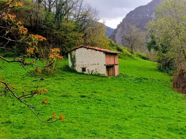 Finca con cabaña