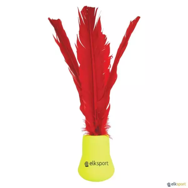 INDIACA