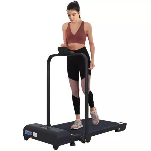 Cinta de Correr Cinta de Andar Plegable 2,5 HP con Pantalla LED Velocidad Ajustable Max. 10 km/h Control Remoto Negro