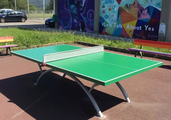 MESA PING PONG EXTERIOR «ECONOMIC PLUS» ANTIVANDALICA