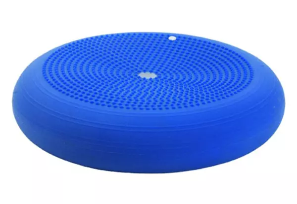 Training Disc XXL