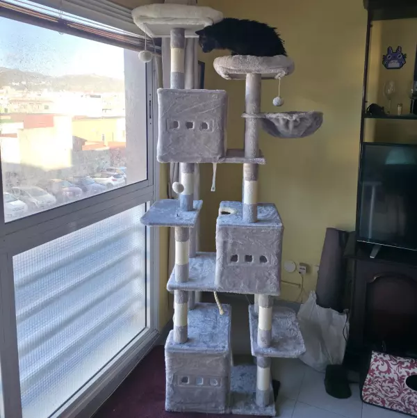 Rascadores gigantes gatos