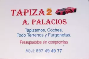 TAPIZADOS DE TECHO DE TURISMO