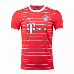 Replica camiseta Bayern Munich 2023 2024