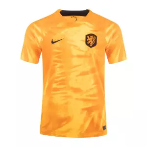 Camiseta Paises Bajos barata y replica 2022