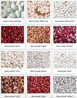 Vendemos frijoles.