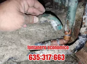 Fontanero económico