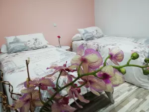 VALLADOLID-PISOS DE ALQUILER VACACIONAL
