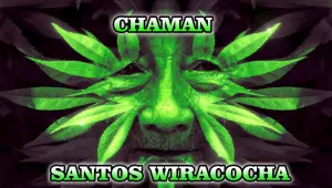CHAMAN SANTOS WIRACOCHA