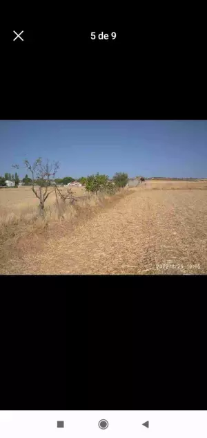 Torrejón del Rey Guadalajara venta 54.000 M2