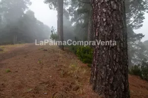 ID-446 Terreno para el cultivo con inclinación por estar en