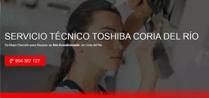Servicio Técnico Toshiba Coria del Río 954341171